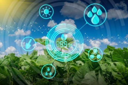 1win海岳智粮·慧眼产品解决方案